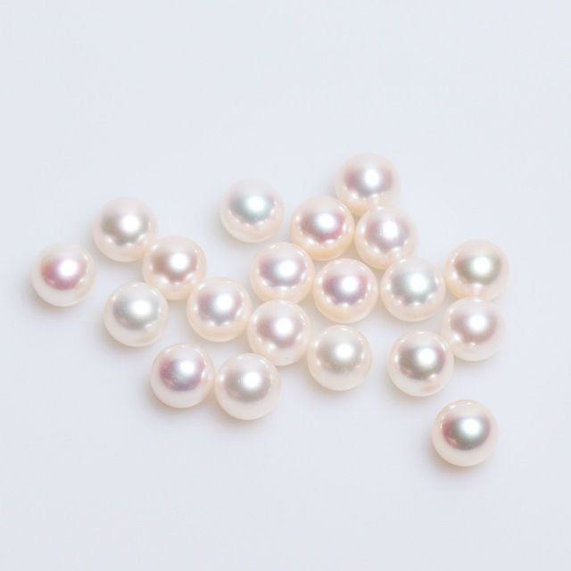 【Pearl Berry】 middle size eddision