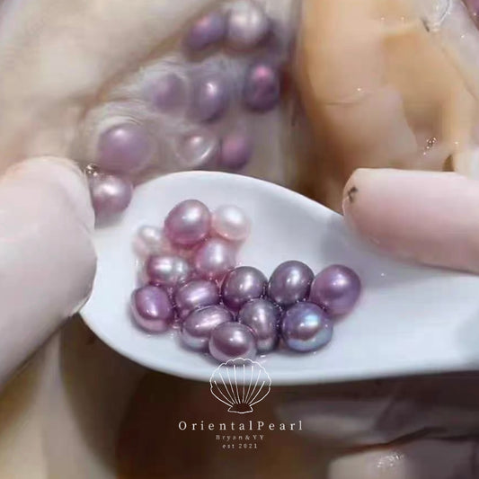 Oriental Pearl 001-Multicolor Pearls Clam Pearls Opening Natural Pearls Different Size and Color Genuine Pearls Support Cutomization Natural Pearls