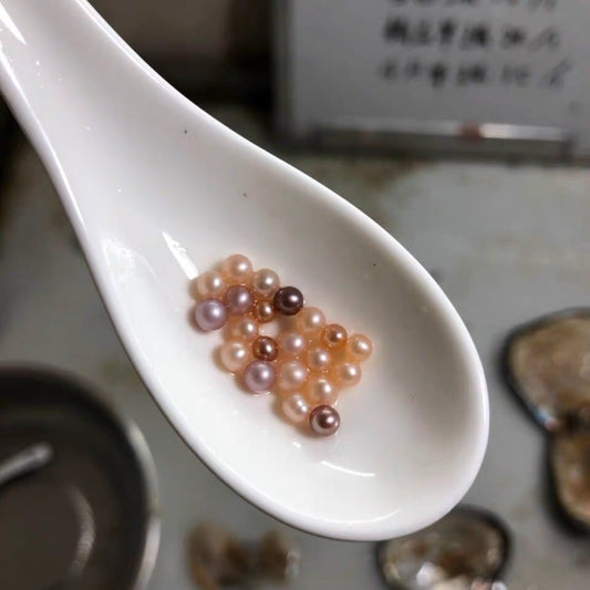 【 19 】【Caviar】(10-13 / 1 oyster)