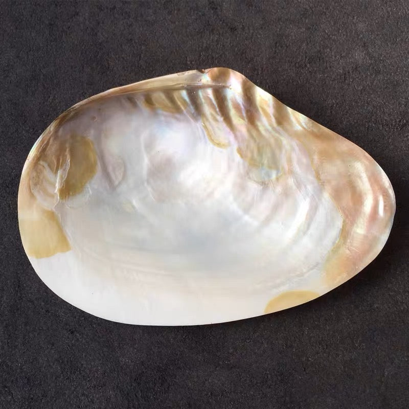 【102 】Polished shell